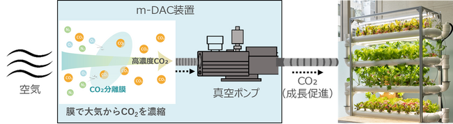 空気中のCO2を回収するm-DAC(R)技術を活用した植物工場の実証事業を実施します