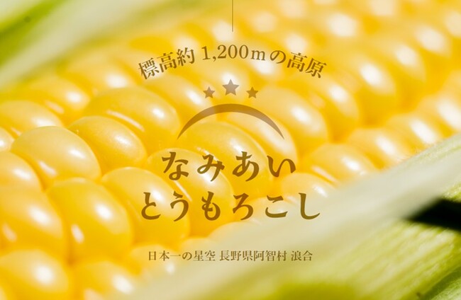 【日本一の星空】長野県阿智村 標高約1200mの高原で「なみあい とうもろこし」収穫体験開催