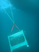 海底へ沈むお酒