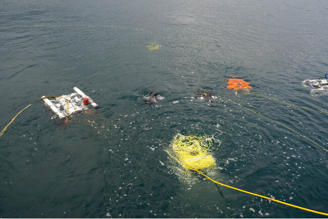 開催迫る！水中ドローン総合イベント「OceanBiz2024 in SHIZUOKA」出展社・デモンストレーションタイムテーブル公開！