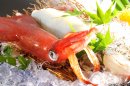 鮮度抜群の活け烏賊 鮮度抜群の活け烏賊