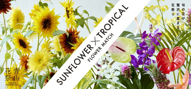 【青山フラワーマーケットの青山花祭】夏に推したい花はどっち？！フラワーマッチ「ヒマワリ×トロピカルフラワー」を開催