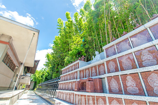 「水郷のまち柳川」に人気の樹木葬が誕生!7/13より無料見学受付開始