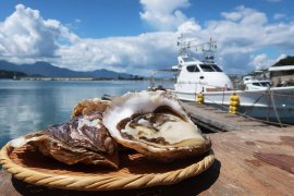 糸島産岩牡蠣