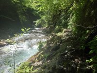 「日本の滝100選」選出の滝や深緑の山歩きで四季を体感　秩父鉄道、夏山ハイキングを8-9月に開催