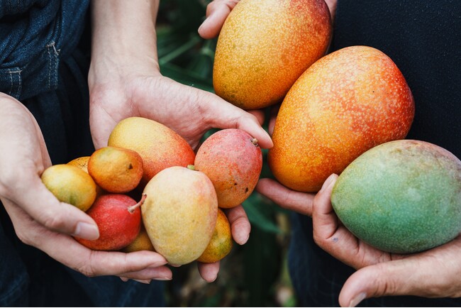 FERNANDA「アップルマンゴーコレクション」で届けたい農家の思いとサスティナブルな香り