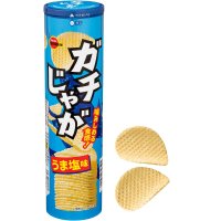 ブルボン、食感、味わい、ガチンコ勝負　噛み応え抜群のポテトチップス“ガチじゃが”2品を7月16日(火)に新発売！