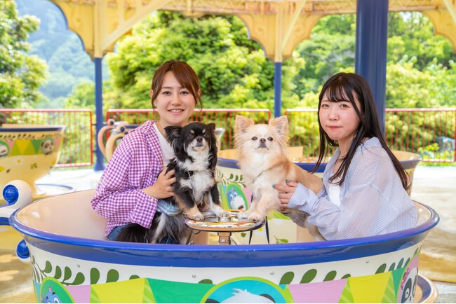 「さがみ湖ＭＯＲＩ ＭＯＲＩ」新ドッグランフィールド７/13(土)オープン