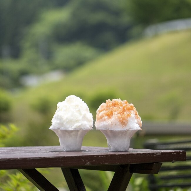 南アルプスの麓・名水の里山梨県北杜市 夏の風物詩「南アルプスの天然水かき氷」今年も期間限定販売！