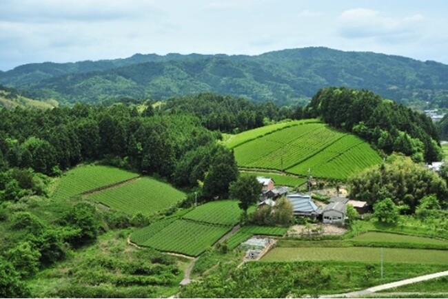 【7月20日～8月31日実施】奈良さとやまSUMMERキャンペーン「夏休みの宿題大作戦」