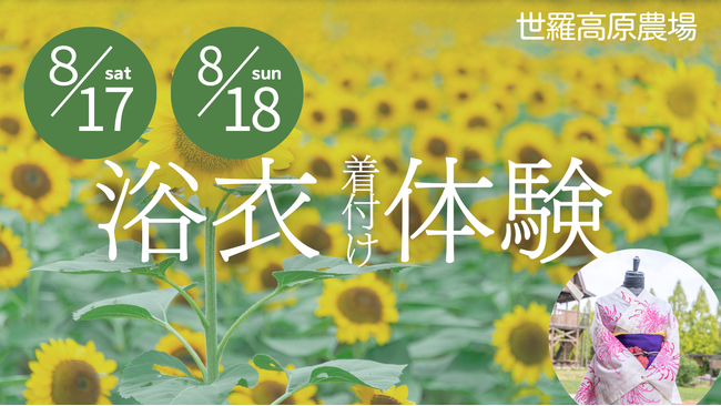【広島/世羅】浴衣の着付け体験 ひまわりまつり《世羅高原農場》