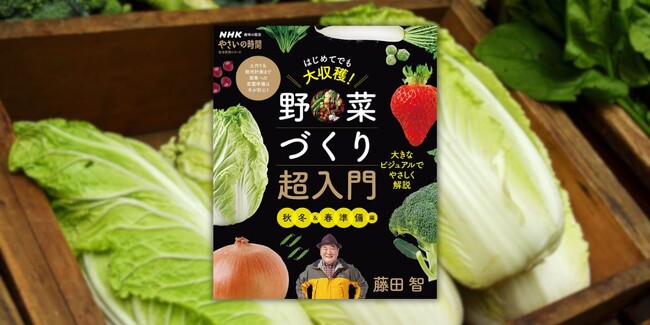 『NHK趣味の園芸 やさいの時間 はじめてでも大収穫！ 野菜づくり超入門 秋冬＆春準備編』7月17日発売