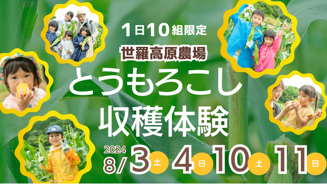【広島/世羅】完全予約制!とうもろこし収穫体験《世羅高原農場》