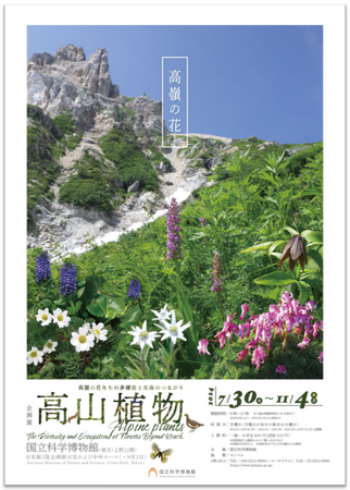 【国立科学博物館】企画展「高山植物~高嶺の花たちの多様性と生命のつながり~」開催のお知らせ