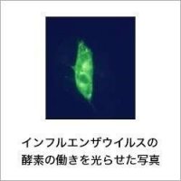 目に見えない働き者「酵素」を見よう！　小学５・６年生対象のサイエンス講座を開講--広島国際大学