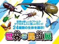 【近鉄百貨店 四日市店】昆虫たちと間近でふれあえる！世界の昆虫展