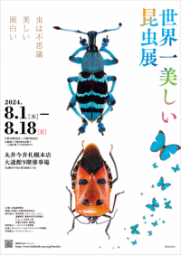 世界一美しい昆虫展　～虫は不思議　美しい　面白い～　丸井今井札幌本店 大通館9階催事場で北海道初開催
