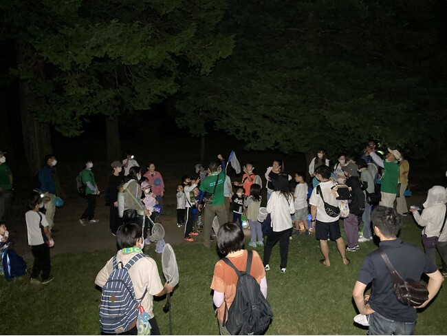 夜のゴルフ場で昆虫を観察しよう!「夏休みの自然観察会 とんもり谷戸」開催