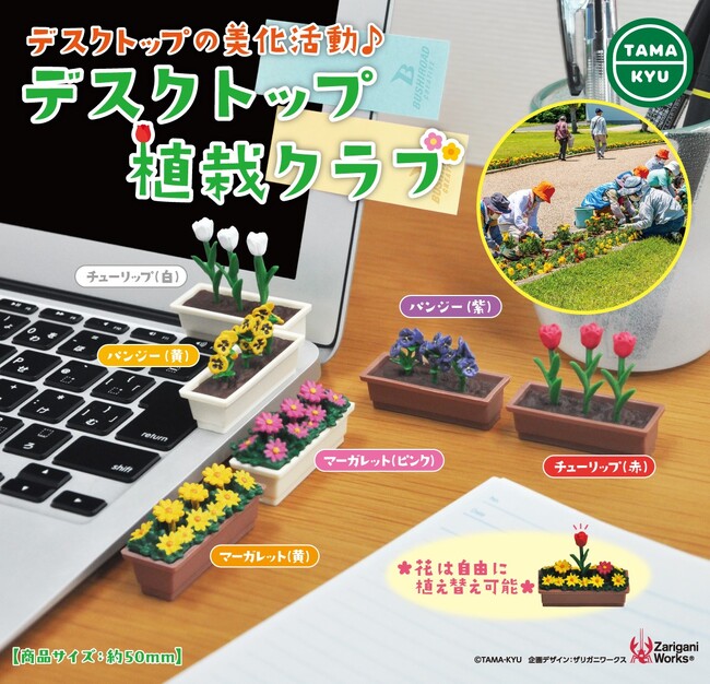 【新商品】デスクトップの美化活動！「デスクトップ植栽クラブ」が本日より全国のカプセルトイコーナーにて順次販売開始。