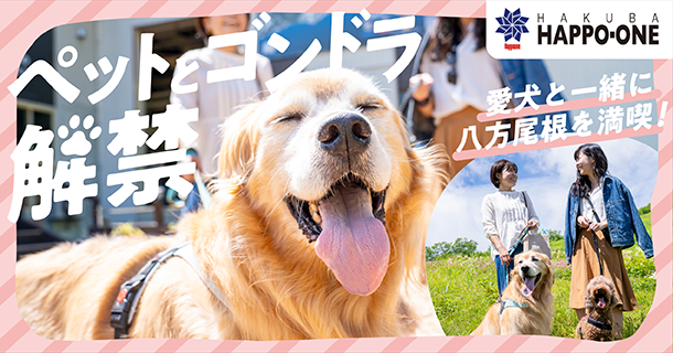 愛犬と一緒に大自然を満喫！標高1,400mの白馬八方尾根うさぎ平にてグリーンシーズンで愛犬とのゴンドラ乗車が解禁