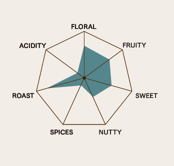 メゾンカカオの新提案【テロワール】を楽しむチョコレート。即完する月替わりの「生ガトーショコラ」、No.8は8月1日に登場 。