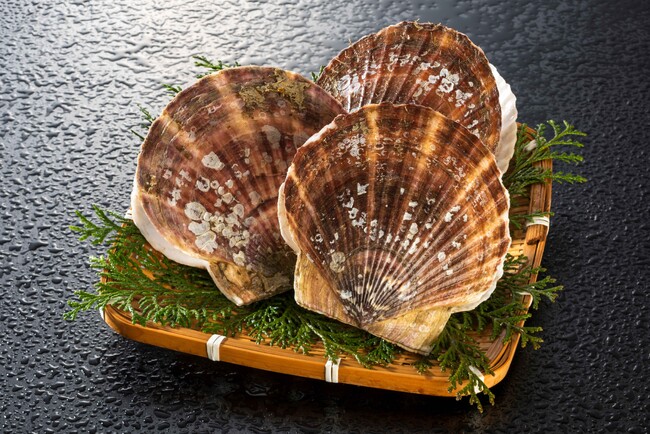 今が旬！北海道サロマ湖産、貝付きホタテを自宅に配送できるお土産付き宿泊プランを「北天の丘 あばしり湖 鶴雅リゾート」で販売開始！