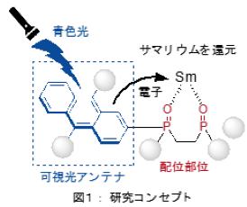 可視光エネルギーでサマリウムを還元する配位子開発に成功-希土類元素(レアアース)であるサマリウムの使用量を100分の1以下に削減-