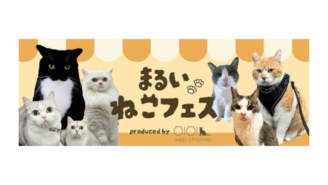 総フォロワー数１００万人以上！人気猫ちゃんとのコラボイベント「まるいねこフェス」を「世界猫の日」にあわせて開催！