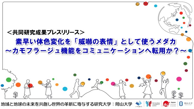 素早い体色変化を「威嚇の表情」として使うメダカ～カモフラージュ機能をコミュニケーションへ転用か？～〔東北大学、岡山大学〕