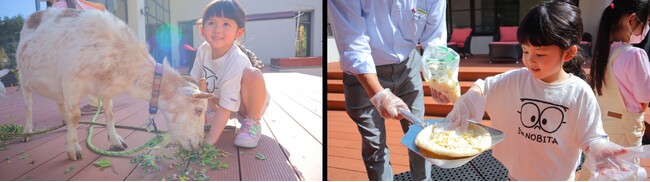 「楽天トラベル」、「オールインクルーシブ」を子どもと楽しめる宿の人気ランキングを発表