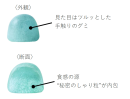 しゃりinグミについて