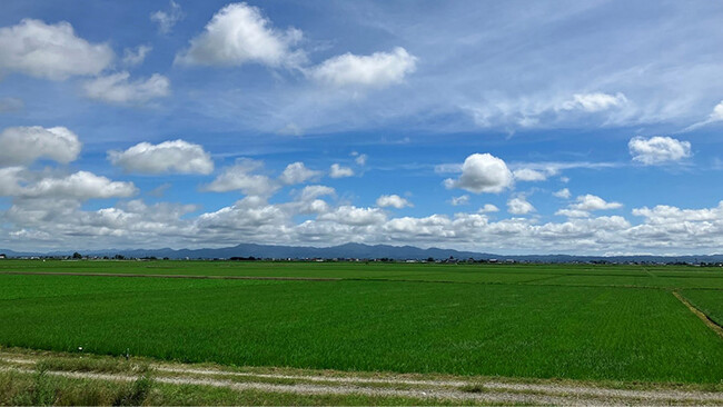 【提言】食料安全保障の長期ビジョン　2050年・日本の農業が目指すべき状態