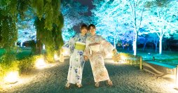 夏の京都旅行に。夜の二条城のライトアップ夏祭りと着物レンタルのセット販売を開始。