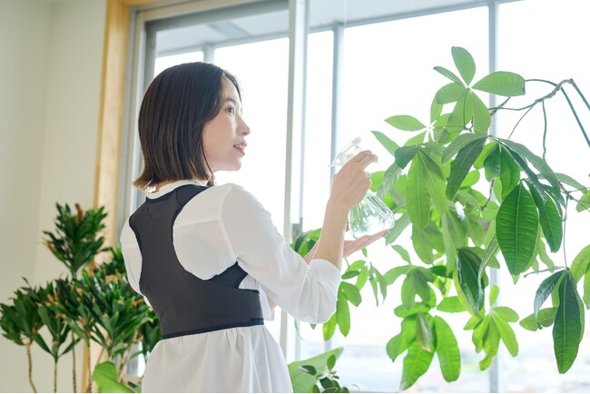 海外向け仕様から改良！「bonbone 姿勢すらっと薄軽サポーター」日本市場に本格登場