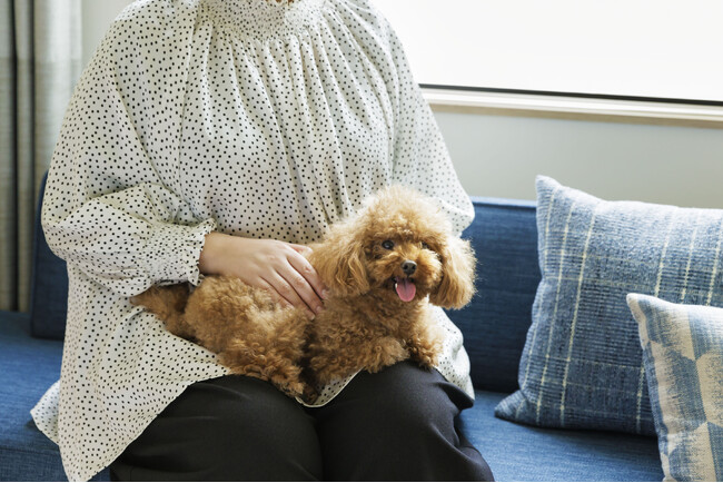 【フェアフィールド・バイ・マリオット 道の駅 プロジェクト】愛⽝と一緒に宿泊できる「Dog Friendly Room」の販売を開始！