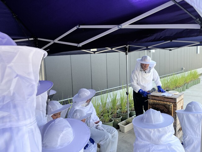 大人も楽しめる自由研究チャレンジ！都市養蜂を体験してみよう