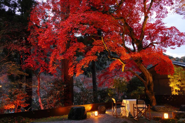 【星のや京都】紅葉の特等席で秋を1日中愛でる滞在プログラム「奥嵐山の錦秋（きんしゅう）滞在」今年も開催｜期間:2024年11月10日～12月10日