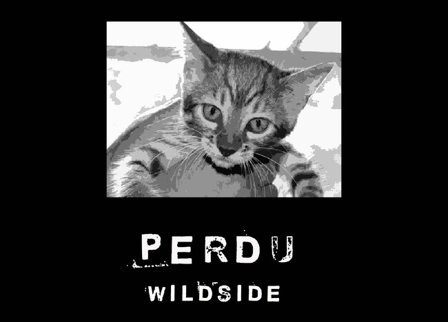 WILDSIDE YOHJI YAMAMOTOオリジナルラインより新作グラフィックTシャツを8月7日(水)に発売