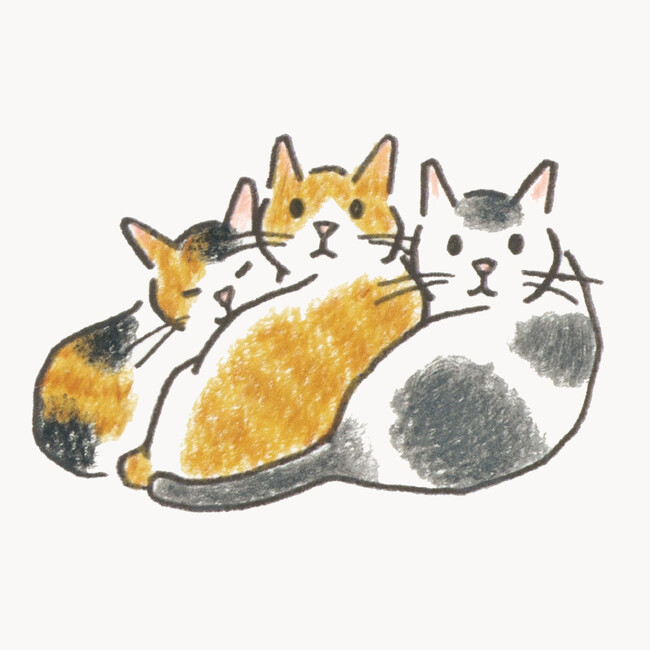 #世界猫の日 「気づけば猫ばかり描いていた」人気イラストレーター小泉さよさんがとびきりかわいい猫の描き方を教える『ねこの描き方れんしゅう帖』が発売決定