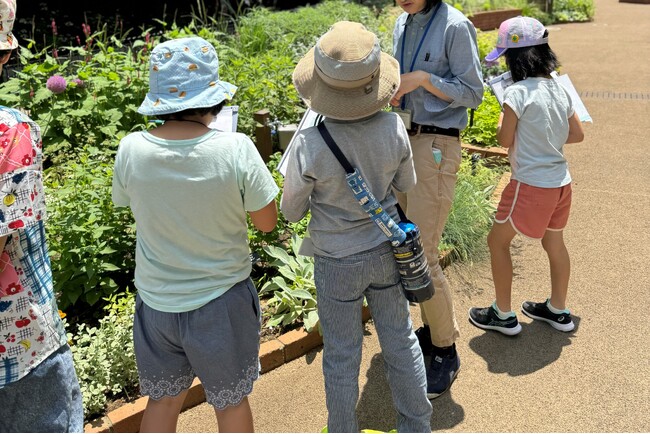 練馬区立 四季の香ローズガーデン／全国の公園管理者では初となる※地域の環境保全活動の環を広げるこどもエコクラブの活動を開始