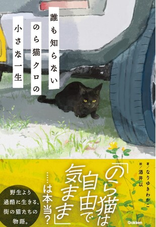 ●著者インタビュー●　夏休みの読書感想文にも最適な感動作、『誰も知らない　のら猫クロの小さな一生』に、著者なりゆきわかこさんが込めた思いとは。