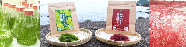 トップバリュ グリーンアイオーガニック　陸上養殖のあおさのり・あかねそう(R)発売