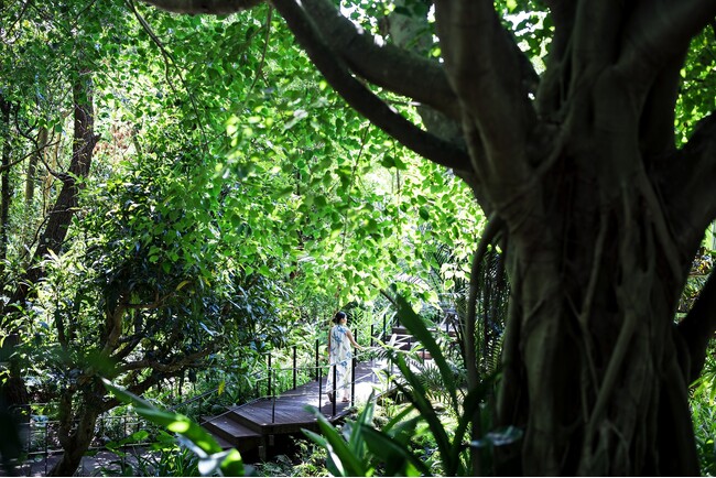 【ザ・リッツ・カールトン沖縄】ボディートリートメントとヘルシーブランチが楽しめる『デイスパ ～やんばるリトリート～』を提供開始