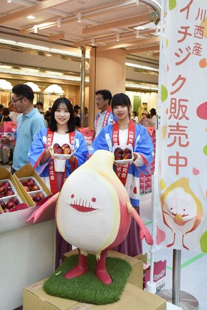6年ぶりに川西市特産いちじく品評即売会を開催 / 兵庫県川西市