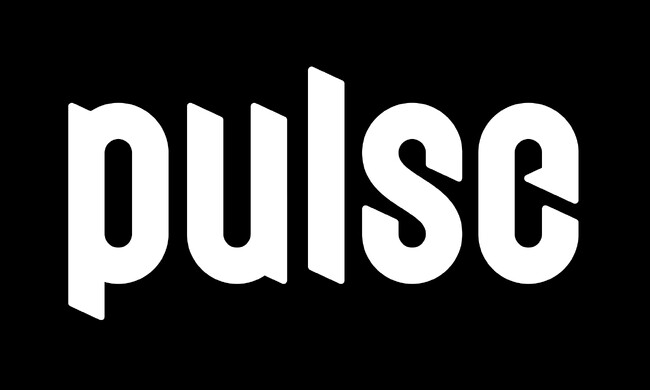 【テックキャンプ 法人研修サービス 事例紹介】メンターの伴走で新卒一期生のスタートダッシュに成功 / パルス株式会社