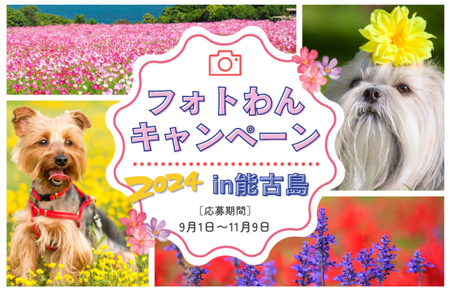 【集まれ!ワンちゃん】能古島でフォトコンテスト開催!