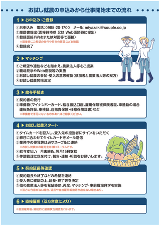 「宮崎」に興味のある皆さん!宮崎県の農業法人で「お試し就農」してみませんか?