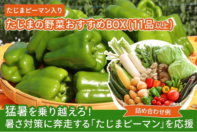 ～猛暑を乗り越えろ！暑さ対策に奔走する「たじまピーマン」を食べて応援～