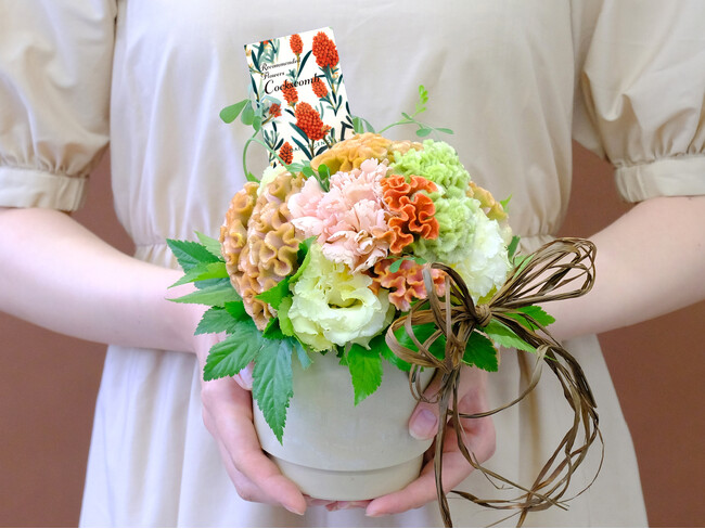 秋の気配は花から！第一園芸の9月のレコメンドフラワー「ケイトウ」と敬老の日に贈る「ブーケとプリザーブドフラワー」