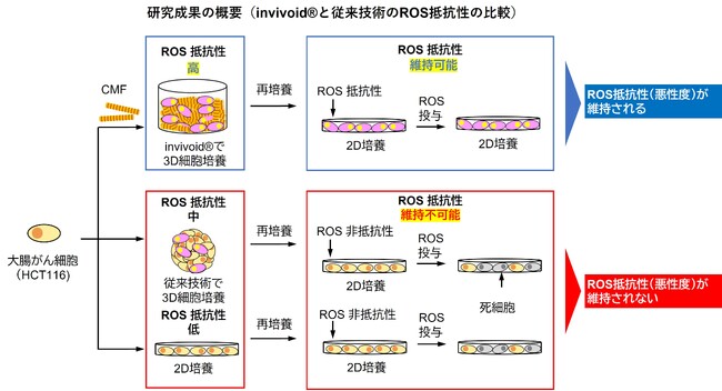 大阪大学大学院工学研究科とTOPPAＮホールディングス、新たな3D細胞培養技術により悪性度の高いがんを体外で忠実に再現